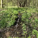 Rhoen - Nestchen