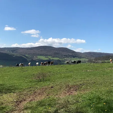 Rhoen - Nestchen شقة Dermbach