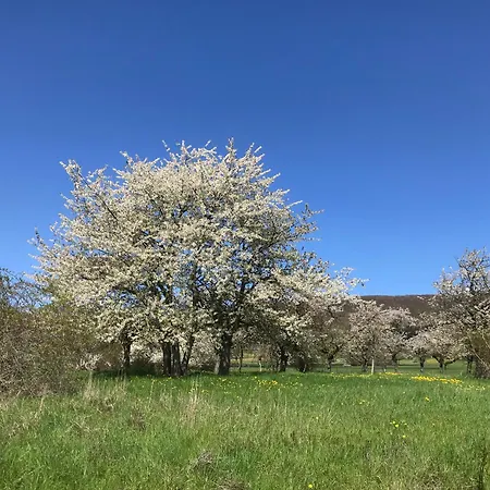 Rhoen - Nestchen شقة