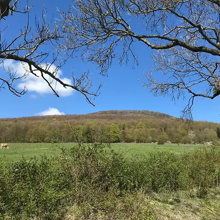 Apartament Rhoen - Nestchen Dermbach