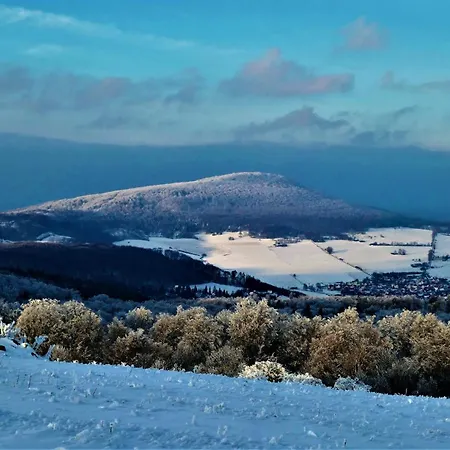 Apartament Rhoen - Nestchen *