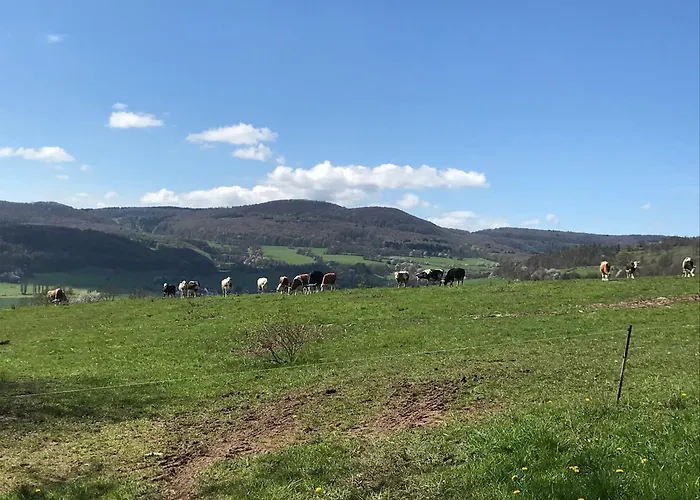 Rhoen - Nestchen Apartament Dermbach