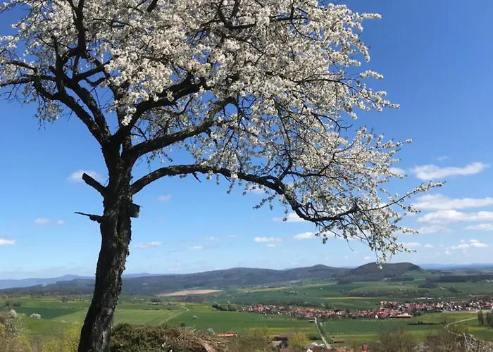 Rhoen - Nestchen * Dermbach