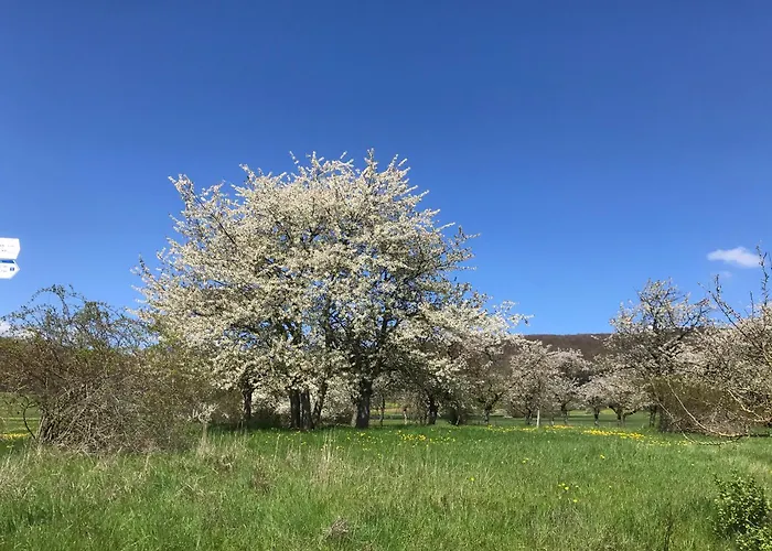 Rhoen - Nestchen Apartament