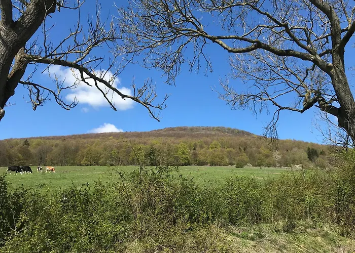 Apartman Rhoen - Nestchen Dermbach