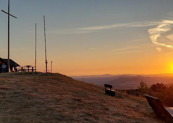 Daire Rhoen - Nestchen